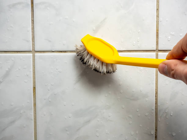 Best Mold Remediation for Schools in Kemp Mill, MD