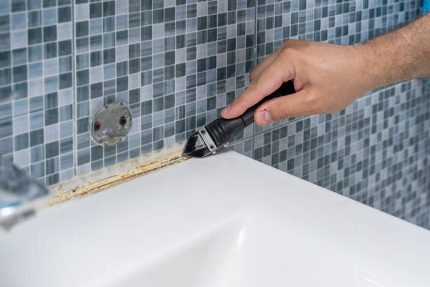 Best Insurance-Related Mold Remediation in Kemp Mill, MD